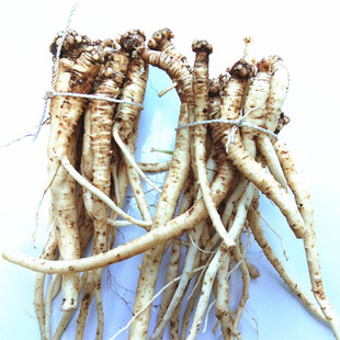 贵州新鲜采挖野党参 山货山货鲜党参狮头参黔党参上党参500克包邮