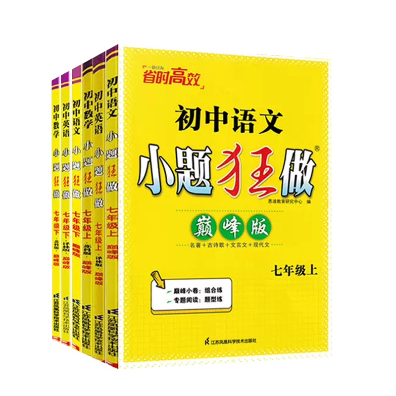 初中小题数学七上提优版