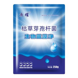蓝藻净分解水产养殖除蓝藻虾蟹鱼塘生物蓝藻清去蓝藻分解酶净水