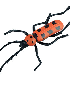 林畅模玩二点红天牛模型仿真昆虫