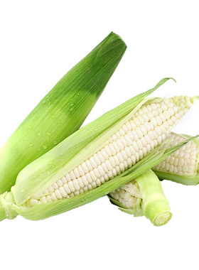 9斤_新鲜头茬非转基因白糯玉米棒