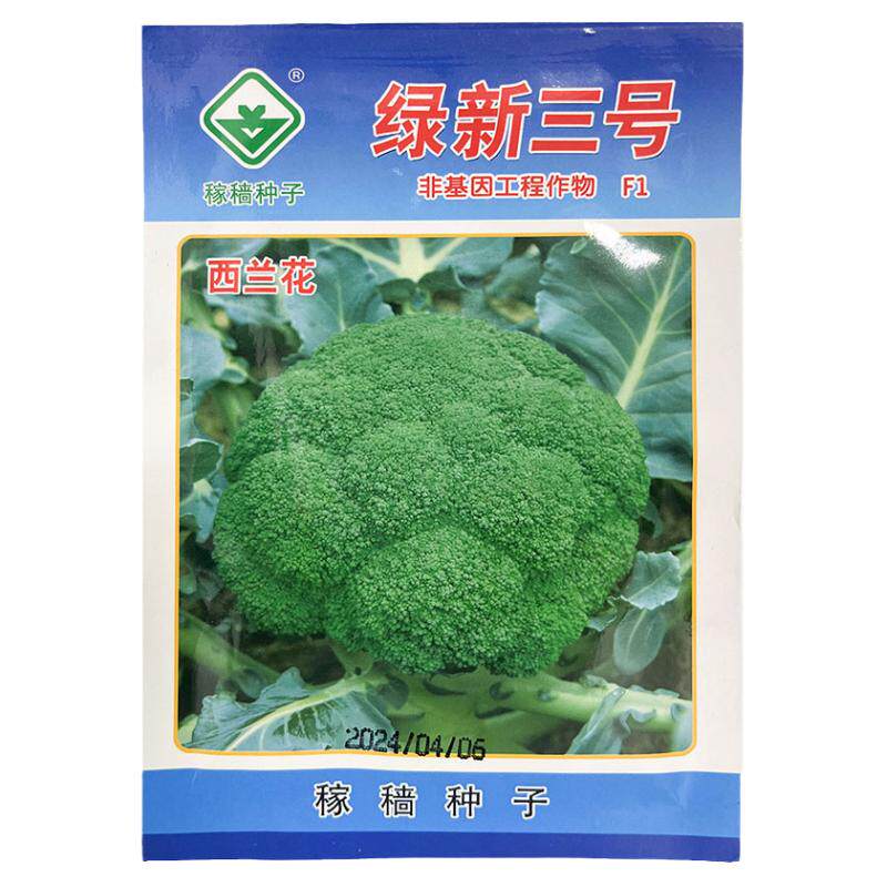 绿新三号10g西兰花杂交高产种子孑籽青绿花菜甘蓝椰花菜蔬菜大田