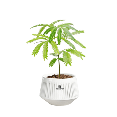 新款美莳热植专用花盆