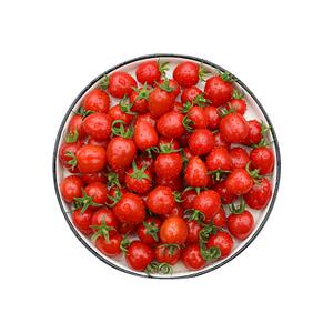 山东蜜思提拉彤果小番茄自然熟风味浓郁生吃即食新鲜水果2斤包邮