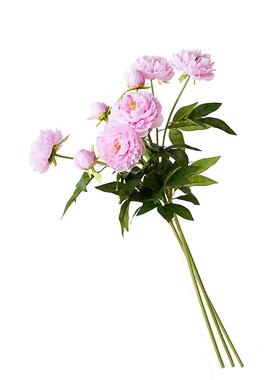 高品质仿真花束芍药餐桌花艺装饰