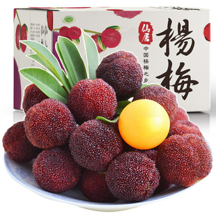 正宗仙居杨梅新鲜东魁大杨梅鲜果特级浙江现摘现发当季水果礼盒装