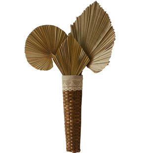 花艺设计软装搭配葵扇叶场景墙面背景布置装饰大葵叶子蒲扇芭蕉叶