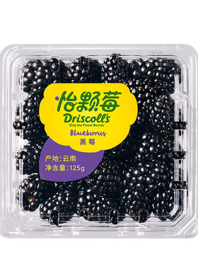 怡颗莓黑莓新鲜水果应季大果