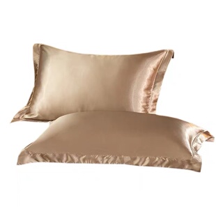 【外贸清仓】真丝枕套一对美容桑蚕丝枕头套枕芯内胆套冰丝枕巾