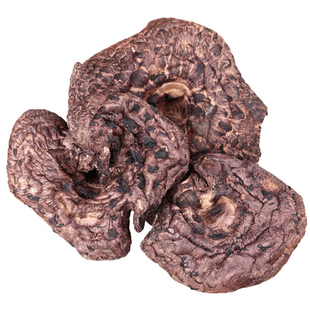 2025云南野生黑虎掌菌干货500g特级中个食用菌獐子菌蘑菇煲汤食材