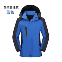 Синий обычный