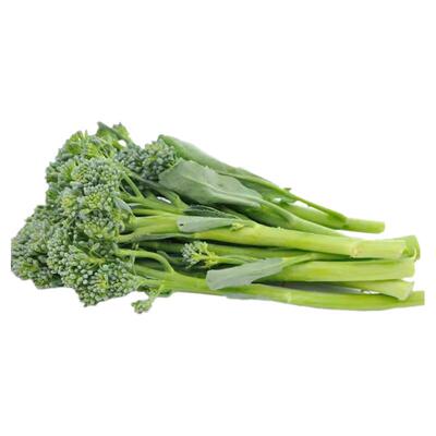 耐寒西兰苔苗四季菜园庭院南方种