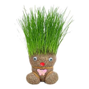 开花娃娃绿植种植花头草头娃娃头上长草植物儿童头发长花小盆栽