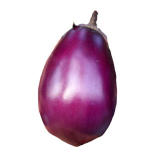 茄子嫁接苗杭茄长茄种子特大茄苗秧茄子白四季孑带土各种蔬菜苗