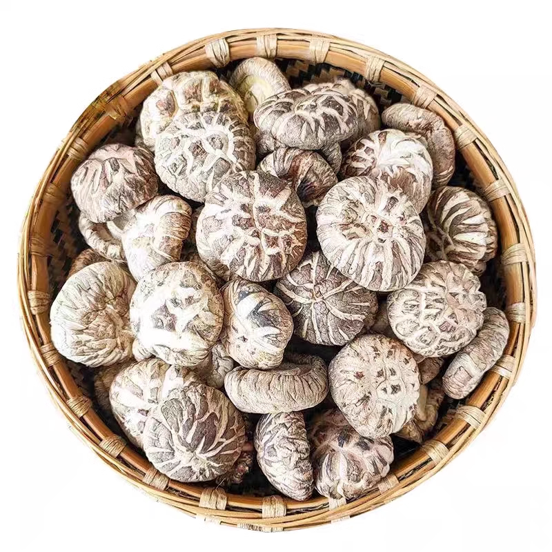 菌状元新货花菇肉厚无根椴木小香菇干货新鲜冬菇菌菇干蘑菇土特产