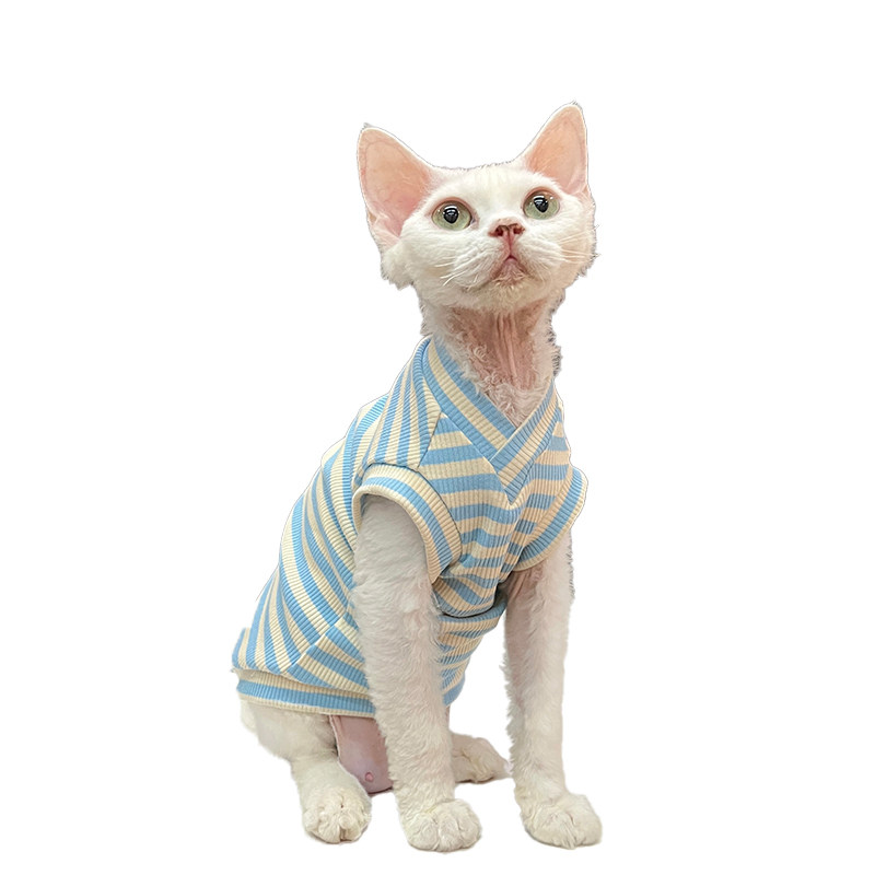 V领纯棉弹力面料背心背心好穿任发财无毛猫衣服斯芬克斯猫德文