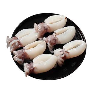 墨鱼仔新鲜冷冻小墨鱼新鲜墨鱼仔乌贼捞汁小海鲜商用批发火锅食材