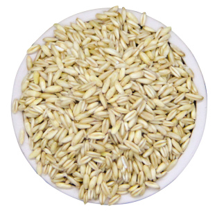 【5斤装】内蒙古燕麦米胚芽裸燕麦仁五谷杂粮粗粮食2500g5斤包邮