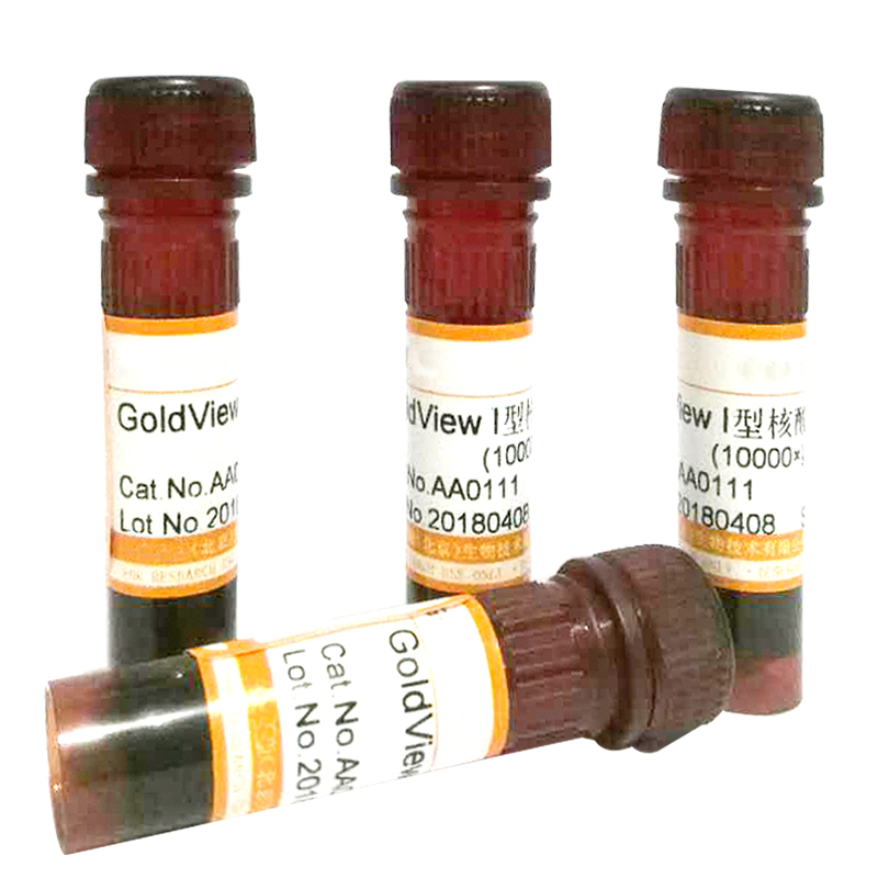 α-乙酸萘酚酯酶染色液(α-NAE法)