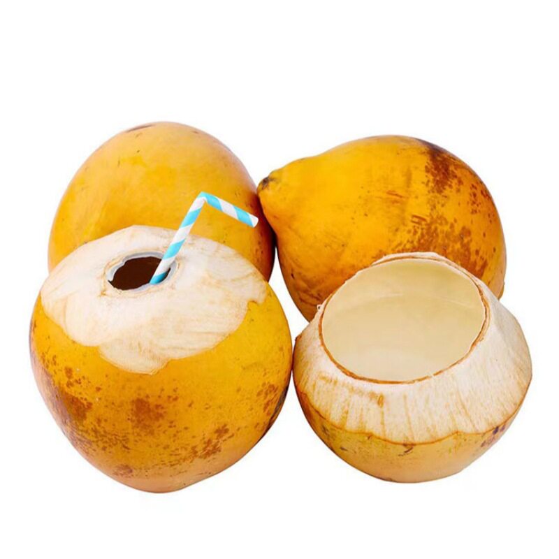 海南红皮椰子带皮新鲜现摘多汁水