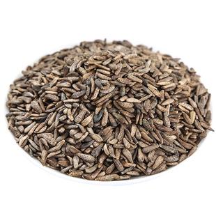 野生牛蒡子500克g新货牛旁子牛蒡子大力子牛蒡籽中药材泡茶泡水