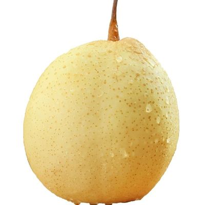 正宗河北大鸭梨大果新鲜整箱包邮