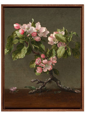 赫德-苹果花版画客厅装饰画挂画