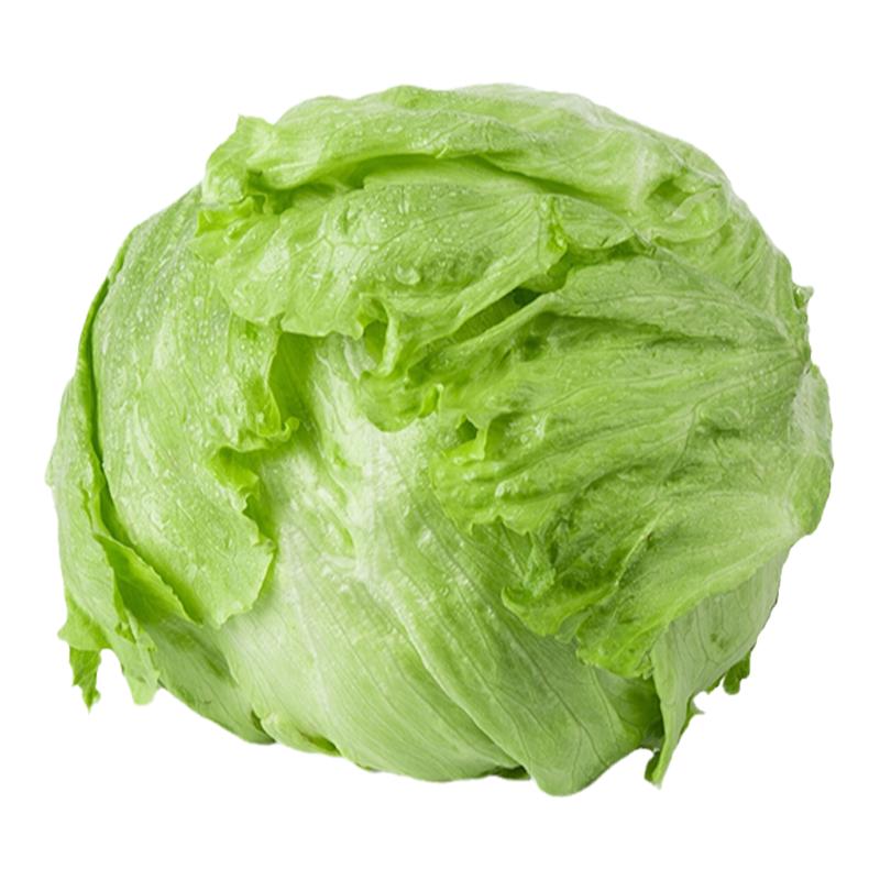 球生菜新鲜西生菜西汉堡包专用生菜球包邮沙拉蔬菜食材球形生菜