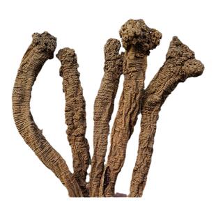 甘肃特级野生党参纯天然岷县党野党参狮子头土纹潞党参上党参500g