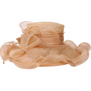 EE 早春新款 香槟色欧根纱礼帽 时尚百搭大檐遮阳帽子女 4022