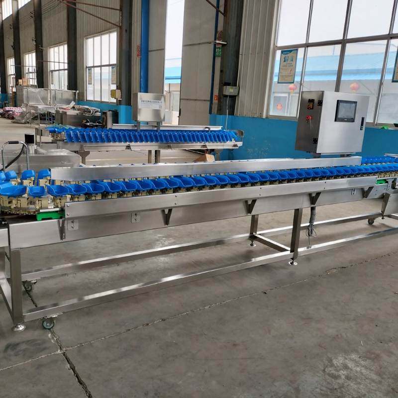 全自动重量分选机牡蛎大闸蟹鸡爪配重分拣机柠檬鸭梨橙子分级设备,清洗/食品/商业设备,选果机/分选机,淘宝优惠券,粉丝福利购,淘宝优惠卷