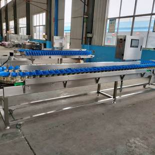 全自动重量分选机牡蛎大闸蟹鸡爪配重分拣机柠檬鸭梨橙子分级设备