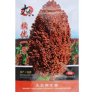 糯优1号高粱种子 大田种植高产包邮酿酒高粱籽高粱种子杂粮易种