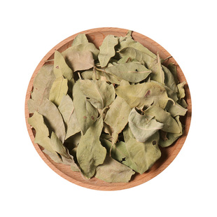 罗布麻500g克中药材新货天然纯正品罗麻布非野生罗布麻叶罗布麻茶