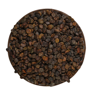 名贵药材种子中草药薄荷藿香黄芪苍术枸杞籽种子春四季药材种植苗