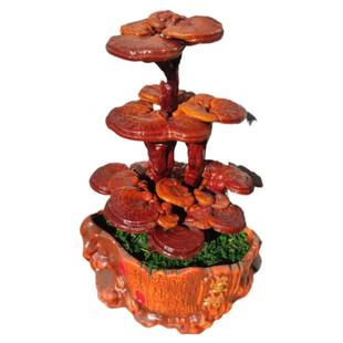 灵芝盆栽灵芝盆景办公室摆件大灵芝活体灵芝招财风水禅意