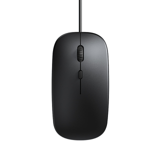 有线鼠标静音USB办公台式电脑笔记本游戏通用磨砂手感家用有声款