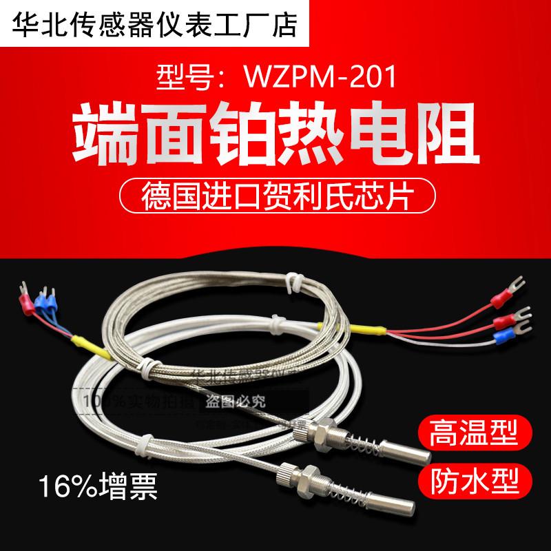 端面PT100 铂热电阻温度传感器防水高温WZPM-201电机轴承表面探头