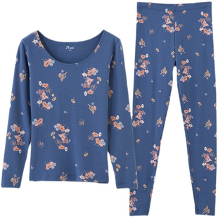 【清仓特价】顶呱呱保暖内衣女纯棉套装秋衣秋裤套装薄款棉毛衫秋