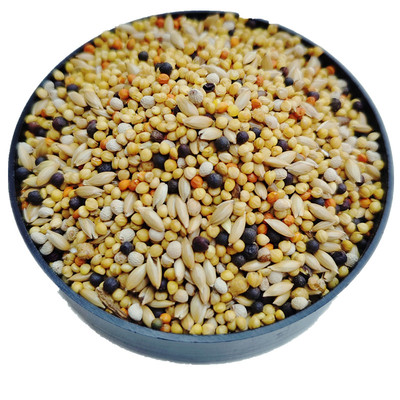 经典玉鸟鸟食饲料专用500克