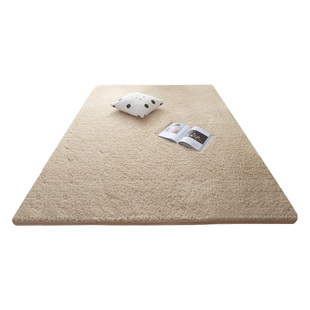 冬季加厚羊羔绒地毯床边毛绒地毯客厅卧室ins风房间全铺毛毯地垫