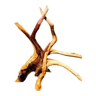 天然杜鹃根栖根紫柚木沉木鱼缸水草缸树枝树根造景沉木一木成景