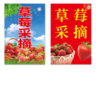 草莓采摘园广告牌卖草莓宣传海报直销零售农场大棚指引招牌广告纸