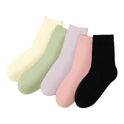 红豆正品棉质抑菌女袜氨弹力透气