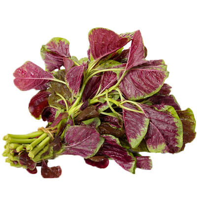 耐热易种圆叶红苋菜种子庭院种菜阳台盆栽蔬菜籽红米苋四季播种