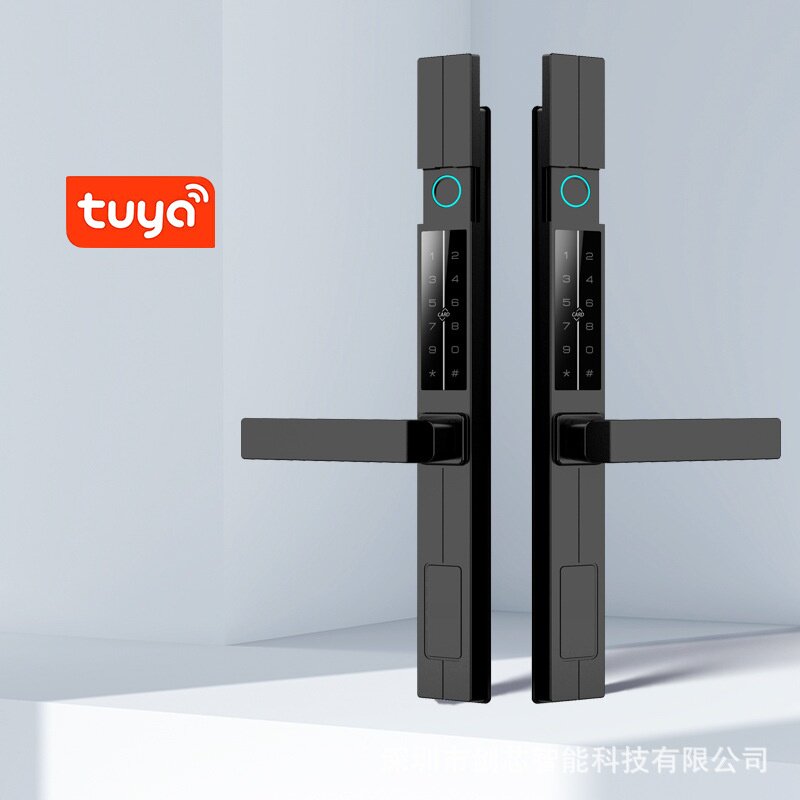 剑芯别墅庭院栅栏断桥铝智能指纹密码电子锁户外防水推拉大铁门锁图片