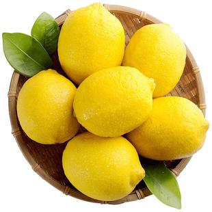 正宗四川安岳黄柠檬新鲜水果奶茶店专用薄皮商用精选大果整箱