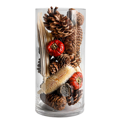 真干果松果橡果莲蓬等diy材料