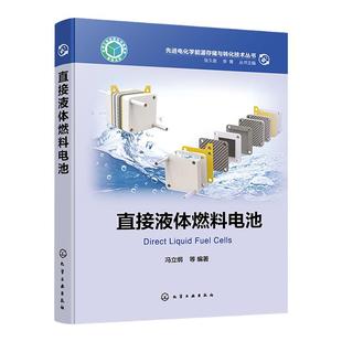 先进电化学能源存储与转化技术丛书 直接液体燃料电池 电化学 催化剂 质子交换膜 膜电极技术 电池集体成及应用 碱性燃料电池技术