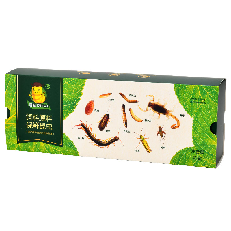 昆娃保鮮昆蟲魚食爬蟲鳥龜寵物龍魚飼料大麥蟲蟑螂蟋蟀蜈蚣面包蟲